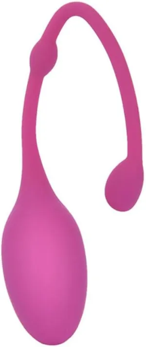 Pelvic Floor Exercises Floor Trainers Premium Silicone Exercise Weights & Control for Postpartum Repair Adult