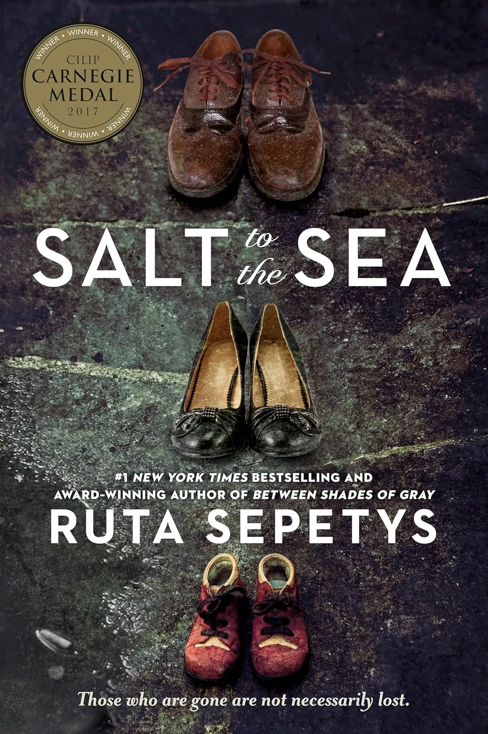 Salt to the Sea Paperback  August 1, 2017