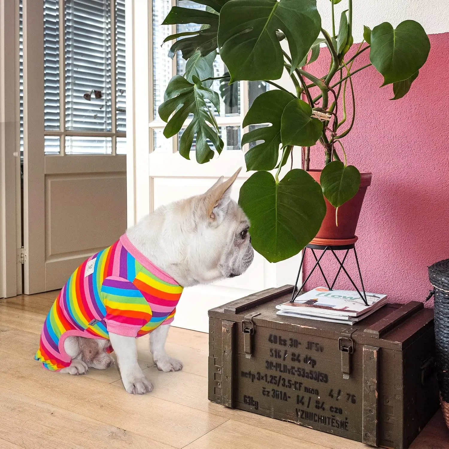 TONY HOBY Dog Pajamas, 4 Legged Jumpsuit Lightweight with Rainbow Stripe for Small/Medium Dog (Pink, Rainbow, S)